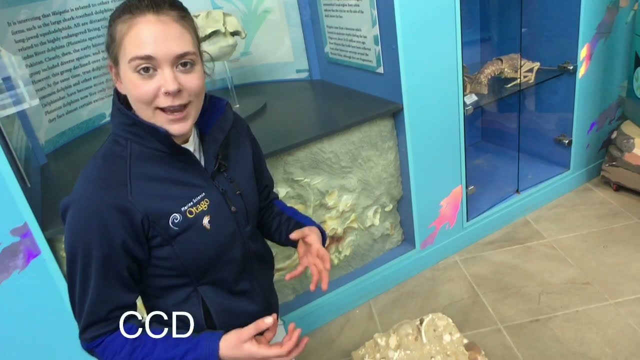 GTV2 3 2 Benthic Environments - Variation and Change