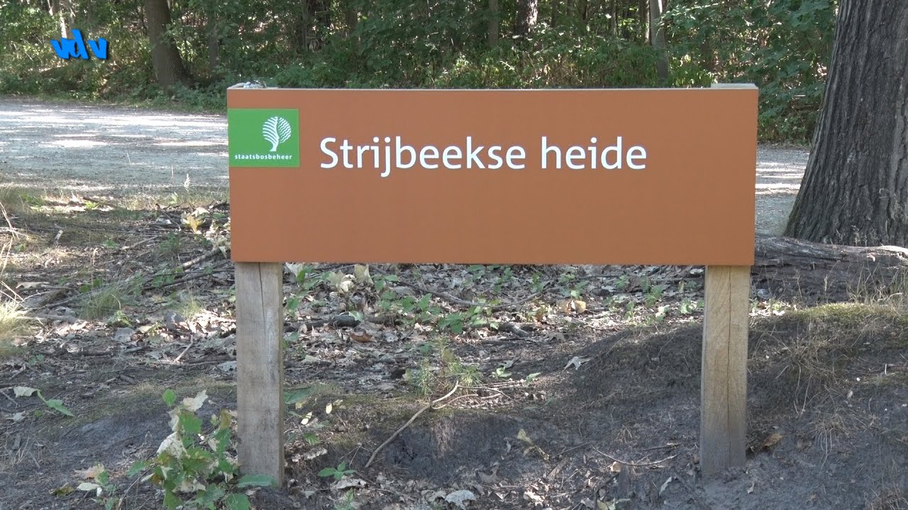 Chaam - Strijbeekse Heide