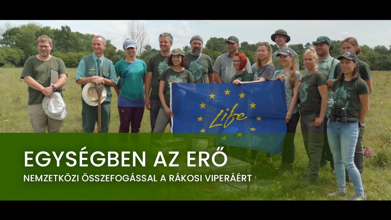 Egységben az erő - Nemzetközi összefogással a rákosi viperáért 4. rész