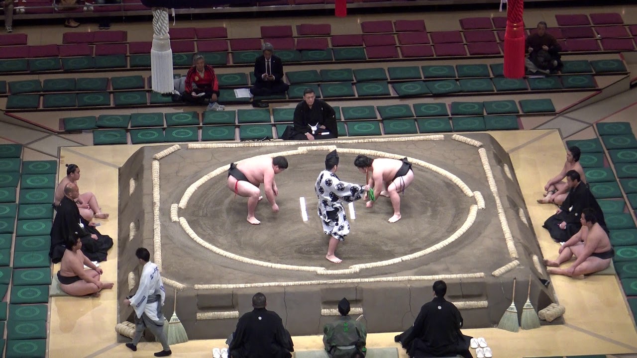 鯱ノ富士-塚原/2018.1.18(1)/shachinofuji-tsukahara/day5 #sumo