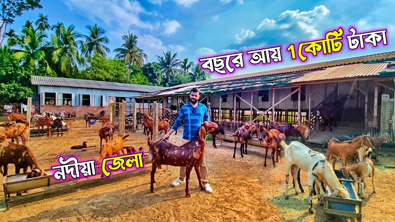 2.5 কোটি টাকার ছাগল খামার | Commercial Goat farm | Goat Farming | Goat farming in india | Goat Farm