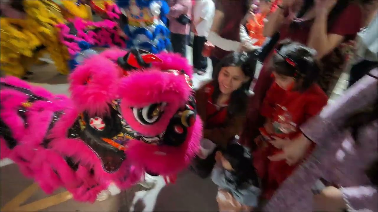 Lunar New Year Eve Lion Dance at Pho Crystal for our family traditional celebration!