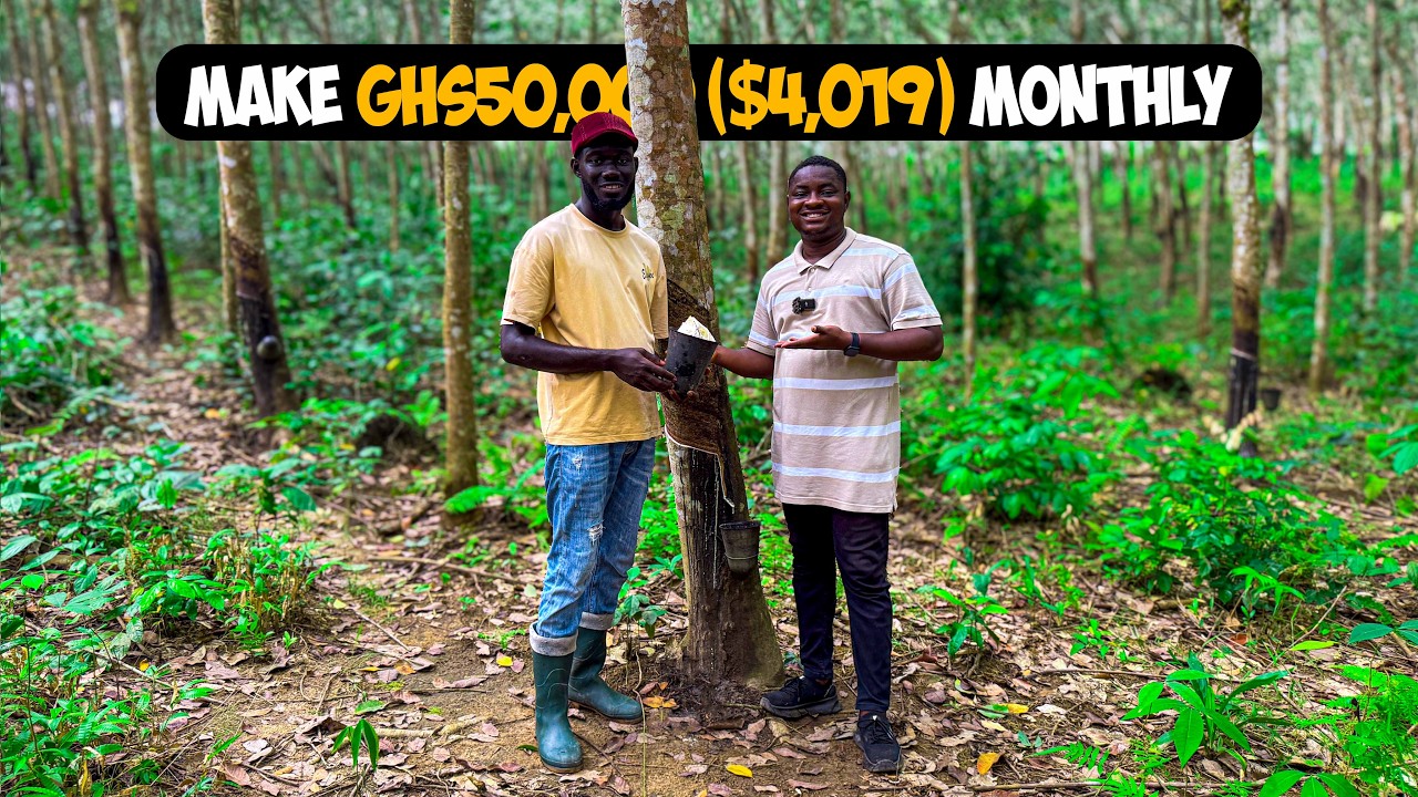 How He Triples His Investment Monthly From Rubber Farming in Ghana 