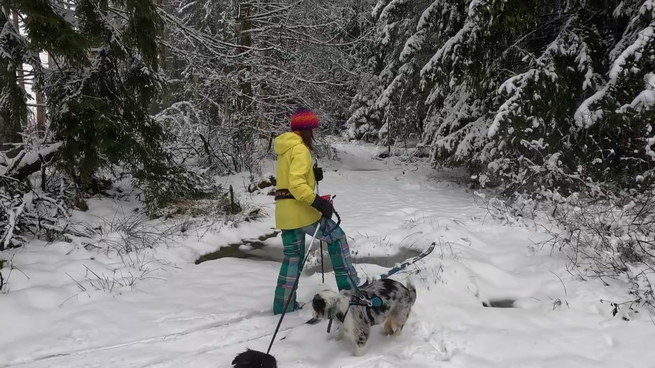 kanukassel-TV: Aktives knüppelhartes WINTERCAMPING gefällt mir besser als langweiliger WINTERSCHLAF