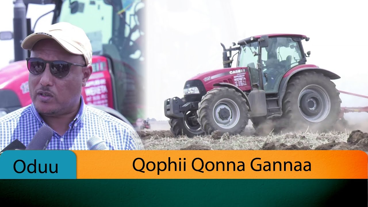 Qophii Qonna Gannaa