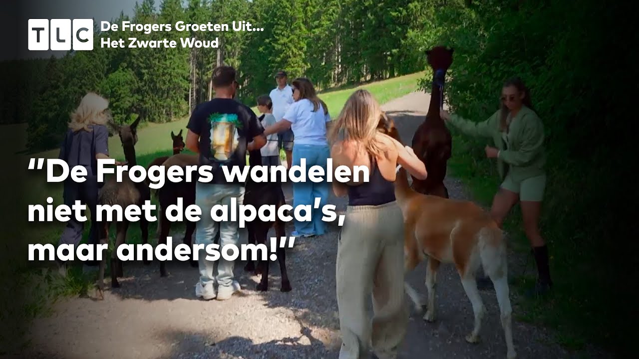 Een Alpaca Bezoek Voor De Familie Froger | De Frogers: Groeten Uit…