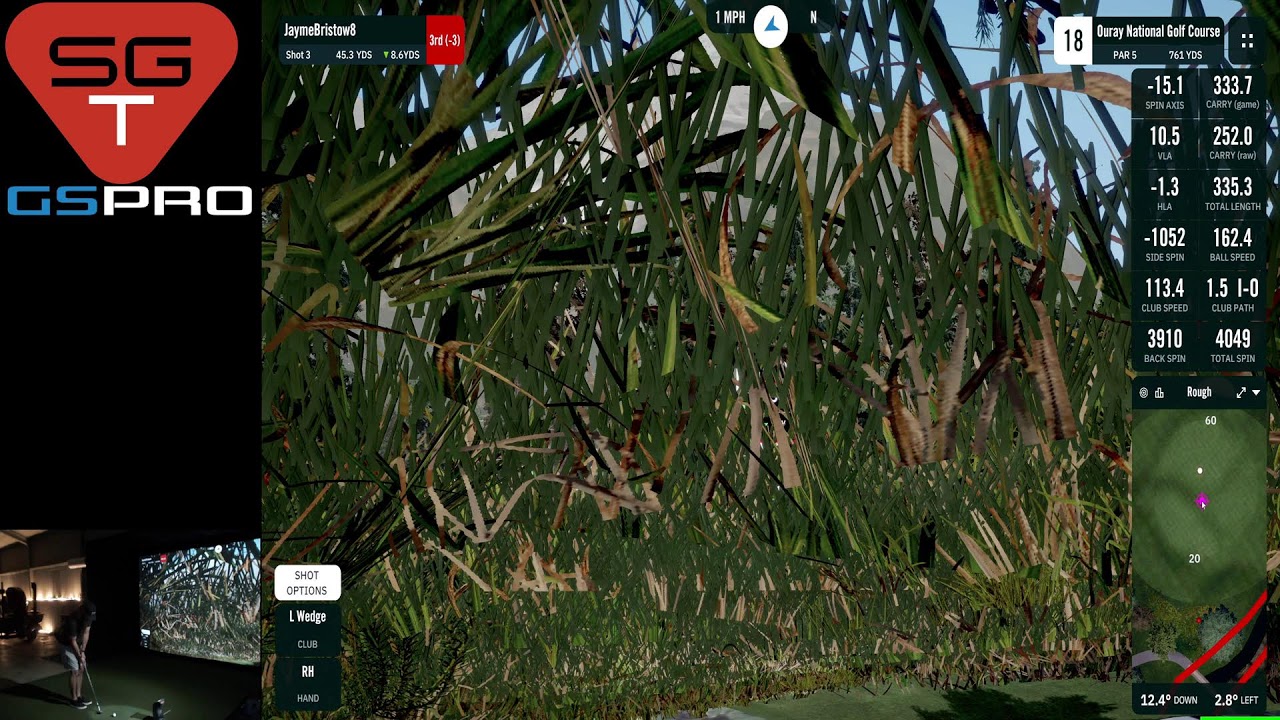 GSPro - Virtual Tee Big Dog II Session 2 Round 2