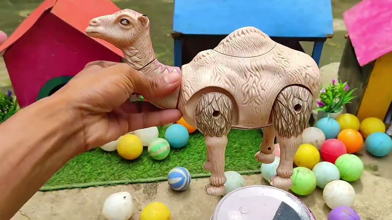 COLORFUL RAINBOW CHICKS ADVENTURE || HAPPY RAINBOW CHICKS PLAY TIME
