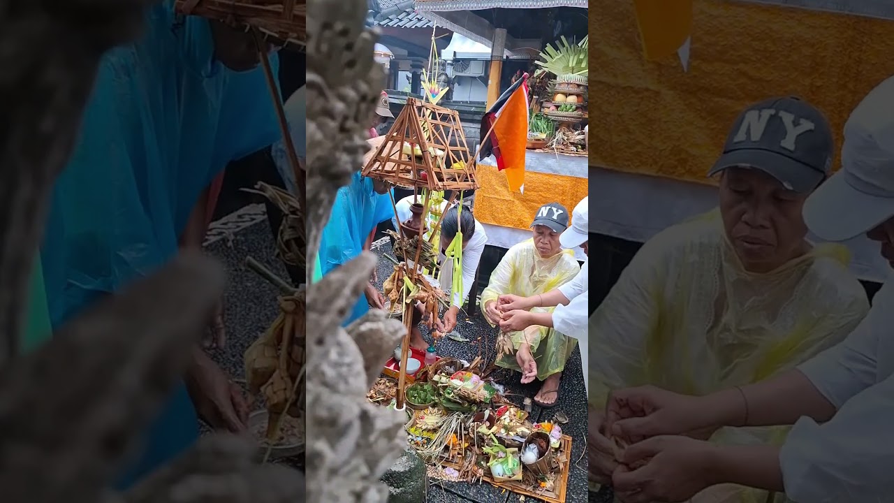 Piodalan nemu Purnama #odalan #purnama #kawulu #canggu #bali #ceremony