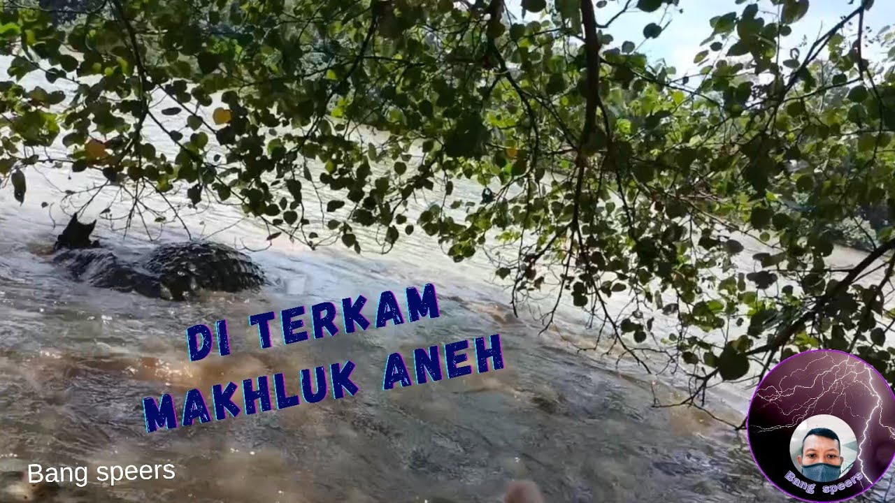 RAWA-RAWA PENUH MISTERI
