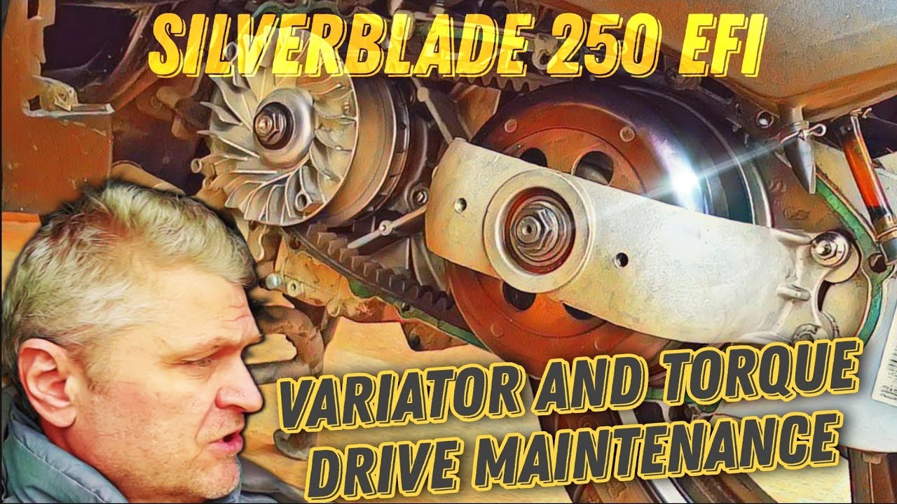 Silverblade 250 EFI. Variator and Torque drive maintenance.
