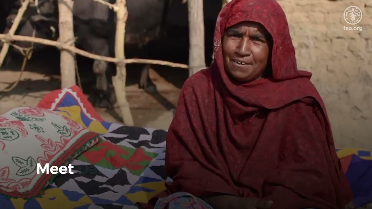 Empowering Women with Livestock Vaccination