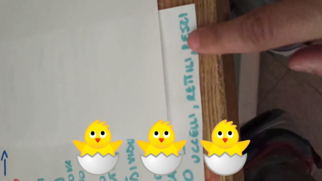Ovipari, vivipari e ovovivipari