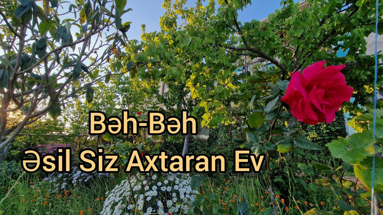 BAĞLI-BAXÇALI ! ŞƏXSİ TİKİLİ 3 SOTDA 4 OTAQLI 077 313 03 31