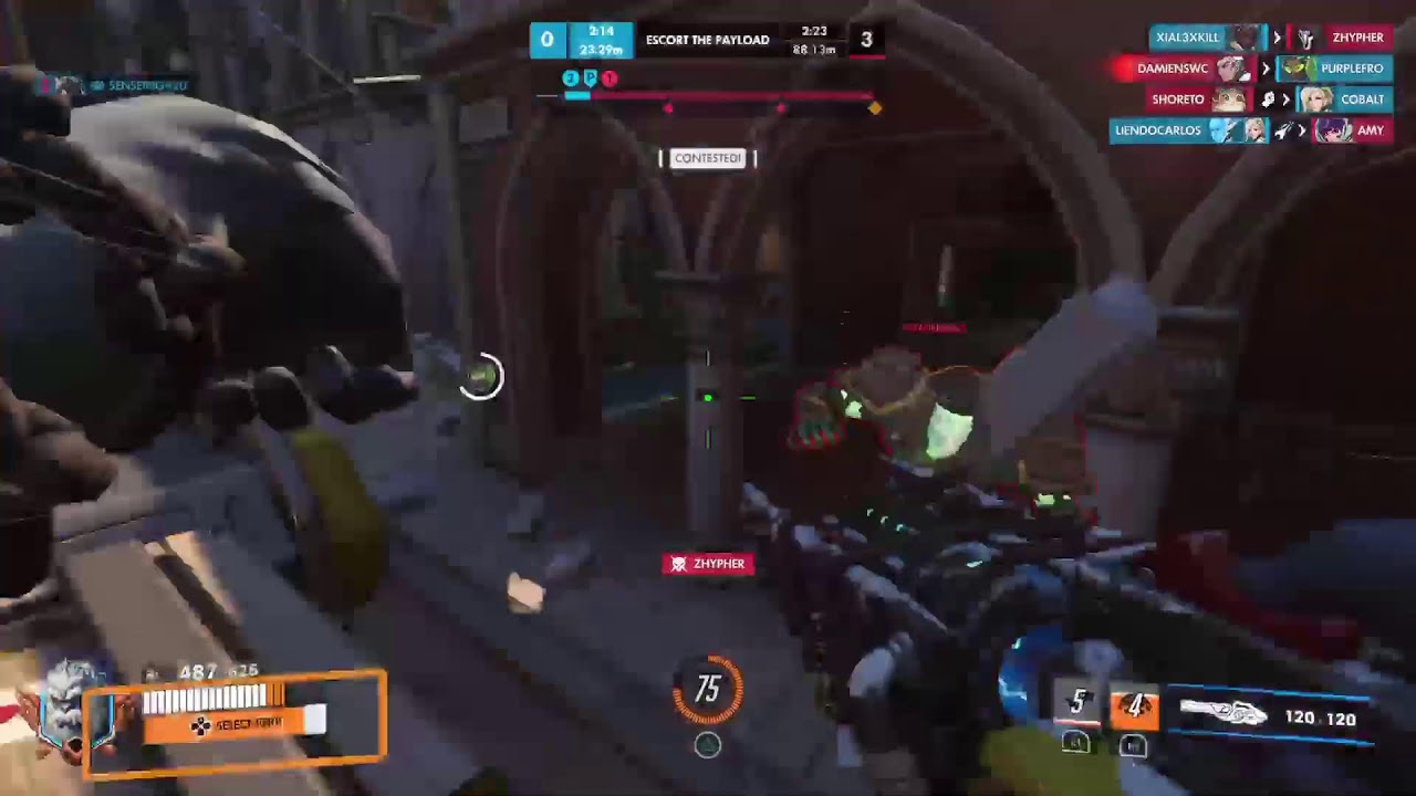 Overwatch in the dojo w/ Sensei Pigbelly
