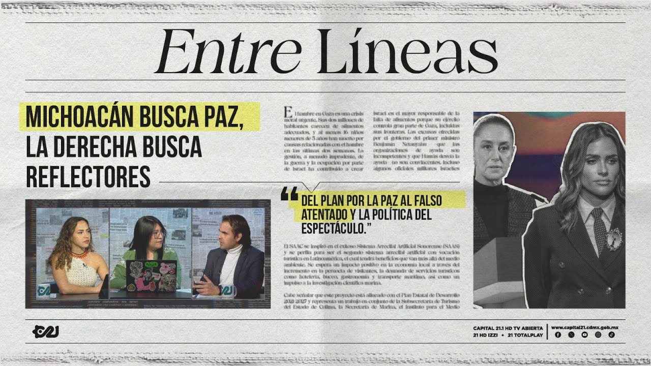 Alessandra Rojo de la Vega y su informe, la política del influencer | Capitulo 5 | Entrelíneas