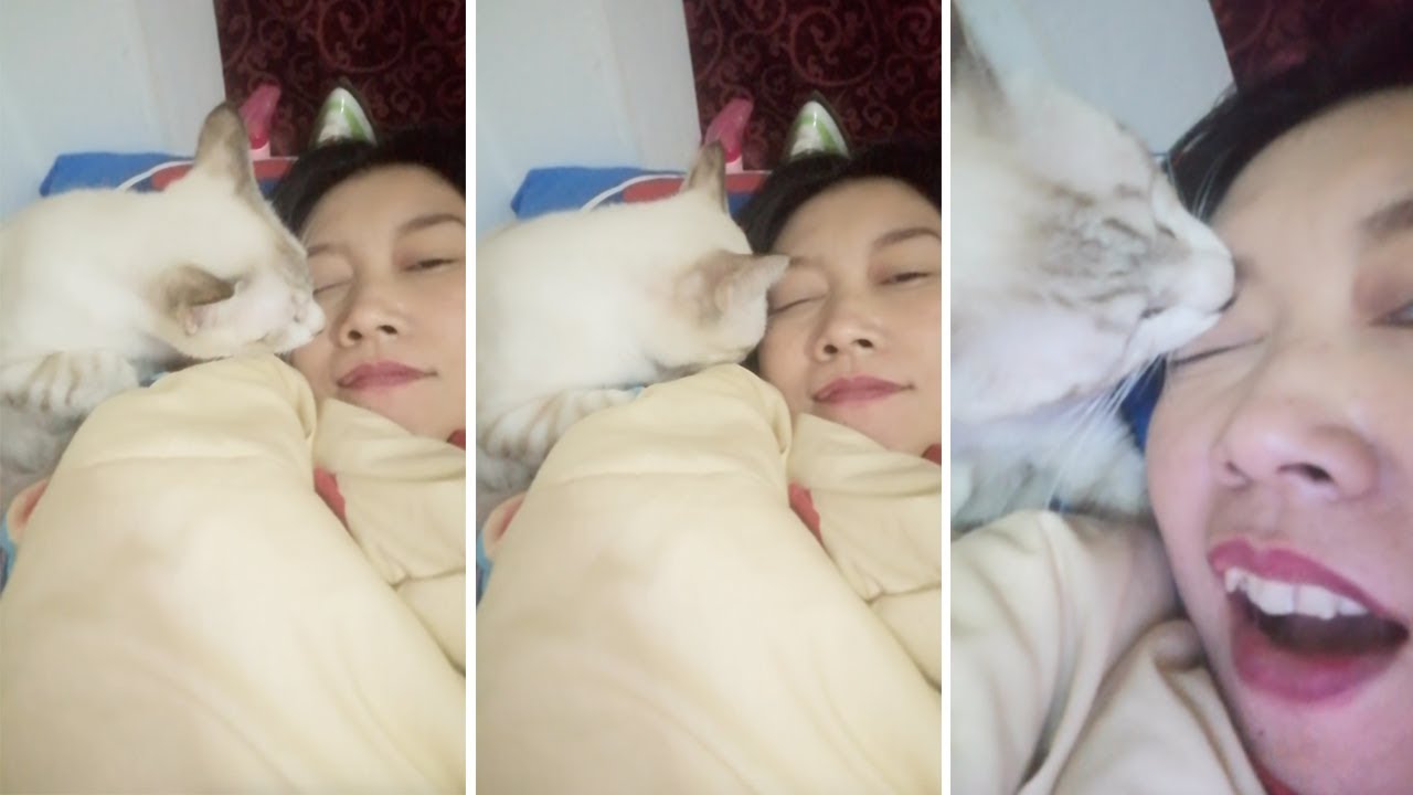 Cat Licks Owners Eye While She Tries To Sleep
