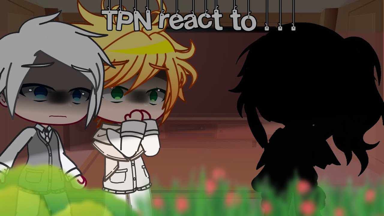 TPN react to F!y/n || (1/??) || READ PIN COMMENT AND DESC‼️ || Aoki !!