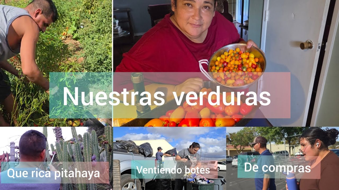Cosechando nuestras verduras y una pitahayas, también fuimos a vender los botes ir de compras