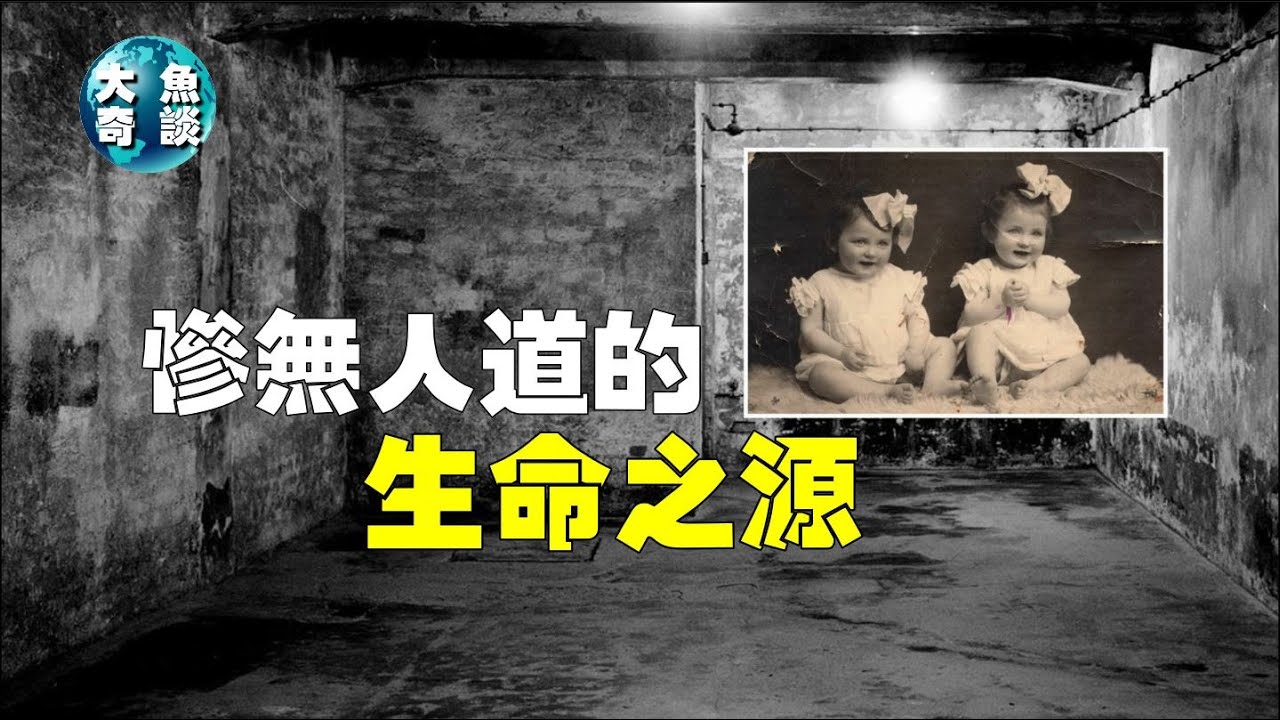 邪惡代孕、無辜少女遭迫害，納粹反人類行徑，生命之源超級人種計劃