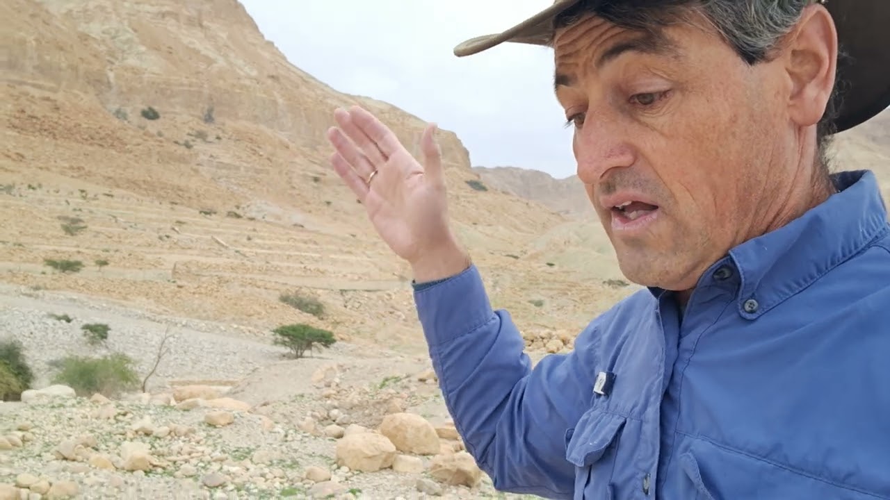 Ein Gedi: The Desert’s Ancient Sanctuary