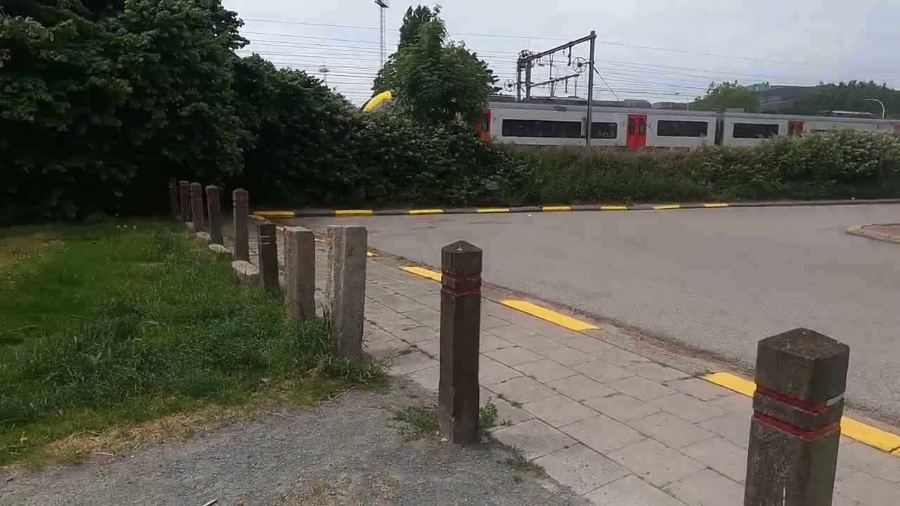 Het Prieel