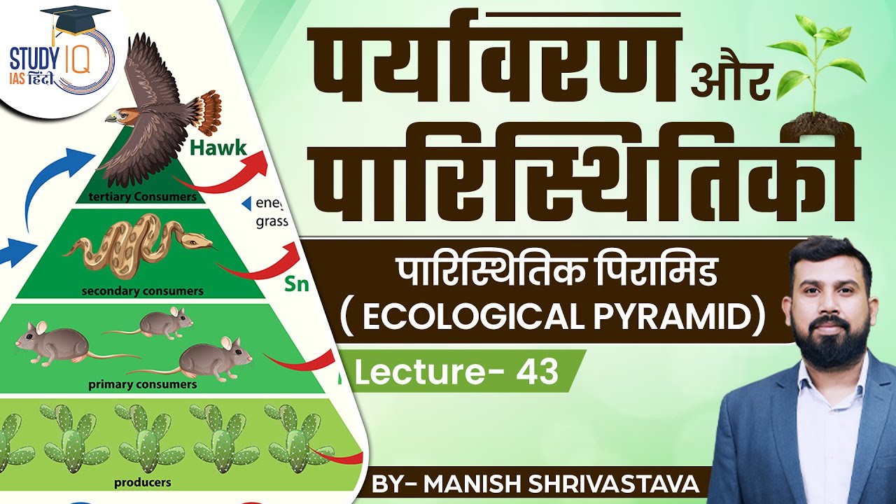 Environment and Ecology - Ecological Pyramid | Lec 43 |  StudyIQ IAS Hindi