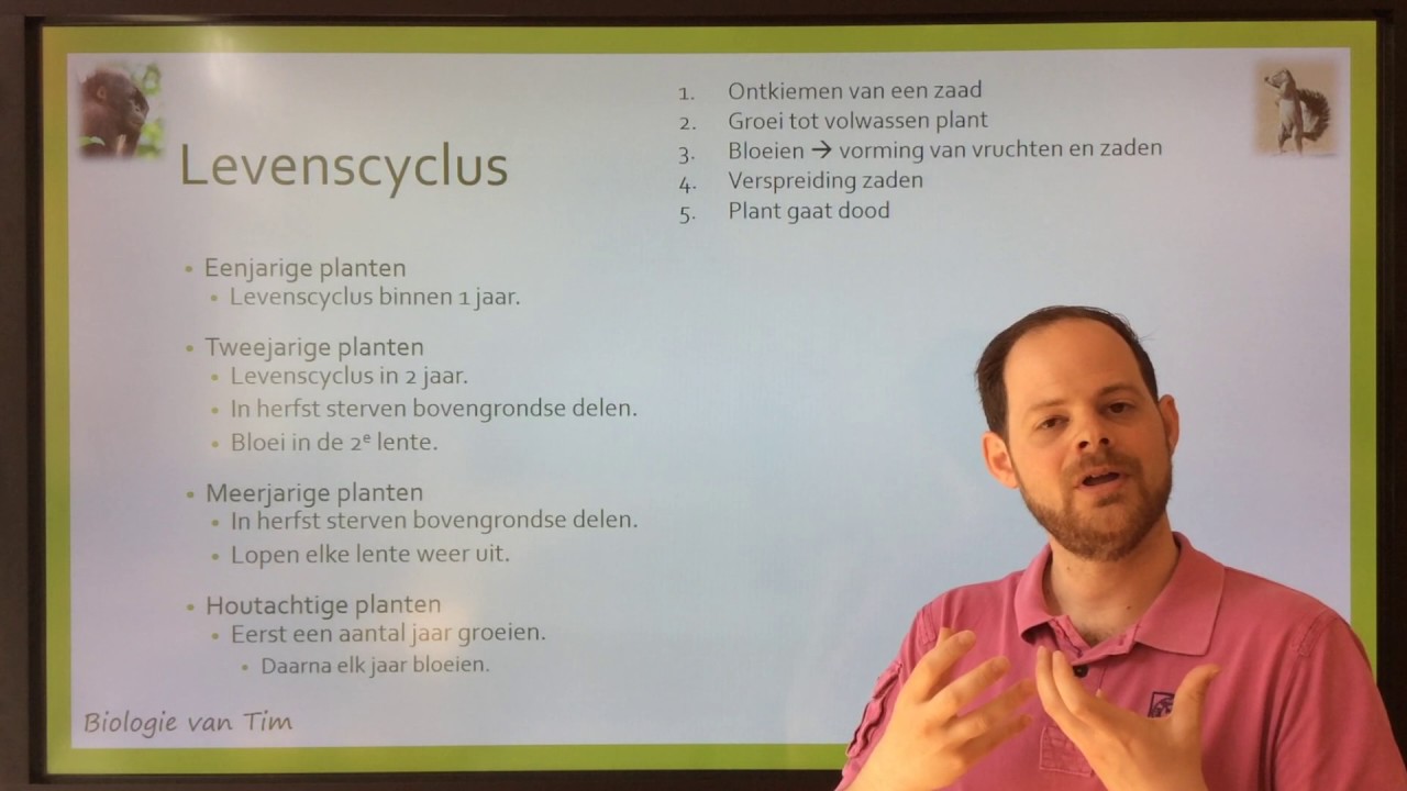 Biologie van Tim - Planten: levenscyclus