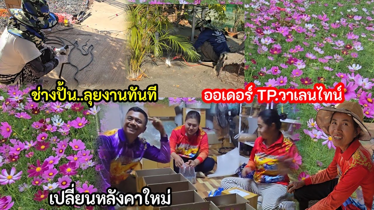 ช่างปั้นลุยงานทันที ออเดอร์TPวันวาเลนไทน์สุดปัง เสือขอเปลี่ยนส่งท้ายฤดู