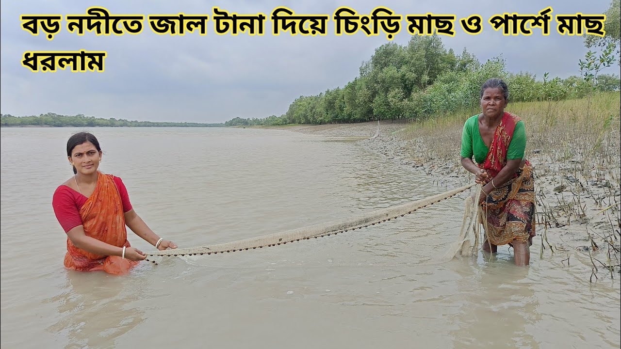 বড় নদীতে জাল টানা দিয়ে পার্শে মাছ ও চিংড়ি মাছ ধরলাম || Nandita Sundarban life 