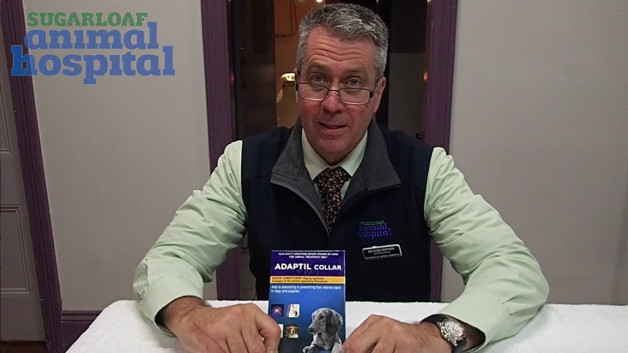 ADAPTIL COLLAR UNBOXING & REVIEW !