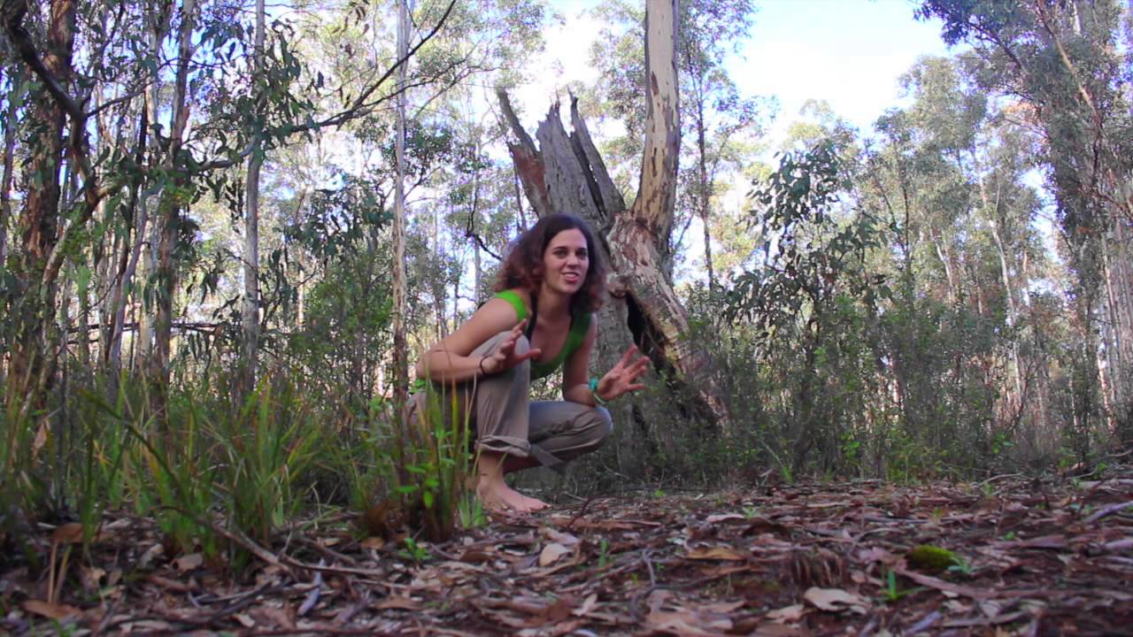 Amy Wild Adventures: Just In Julimar