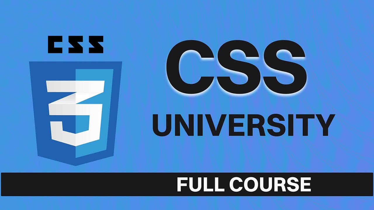 CSS Box Model Tutorial for Beginners | Padding & Margin Explained.Eps 3