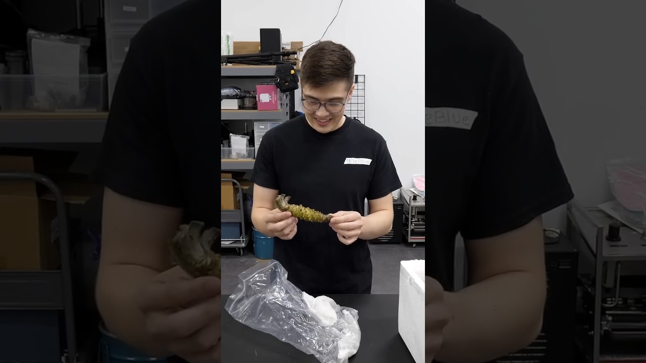 Making wasabi from scratch