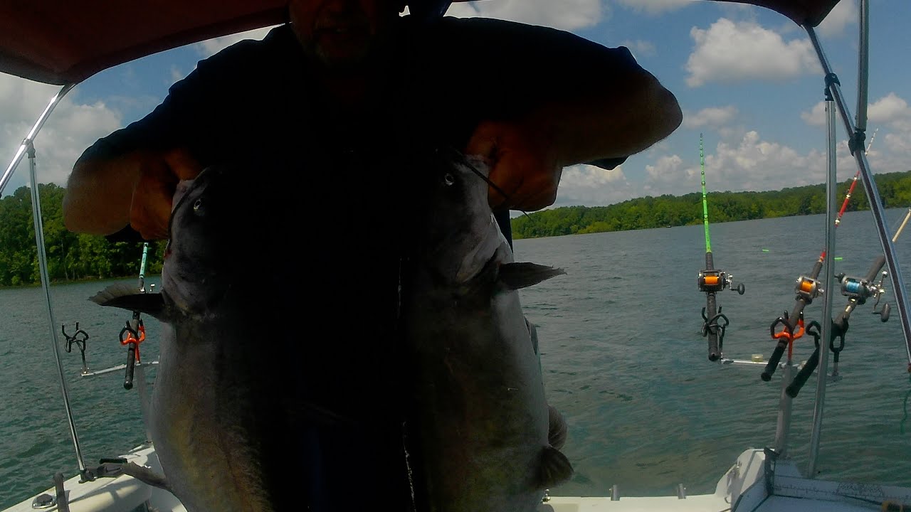 Catfishing Kerr Lake/Buggs Island.  July 11, 2025.