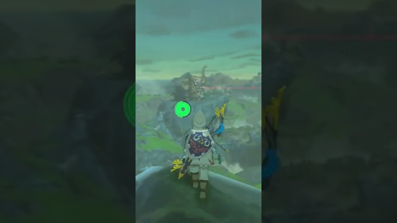 zelda tips for beginners! #shorts #zelda #botw