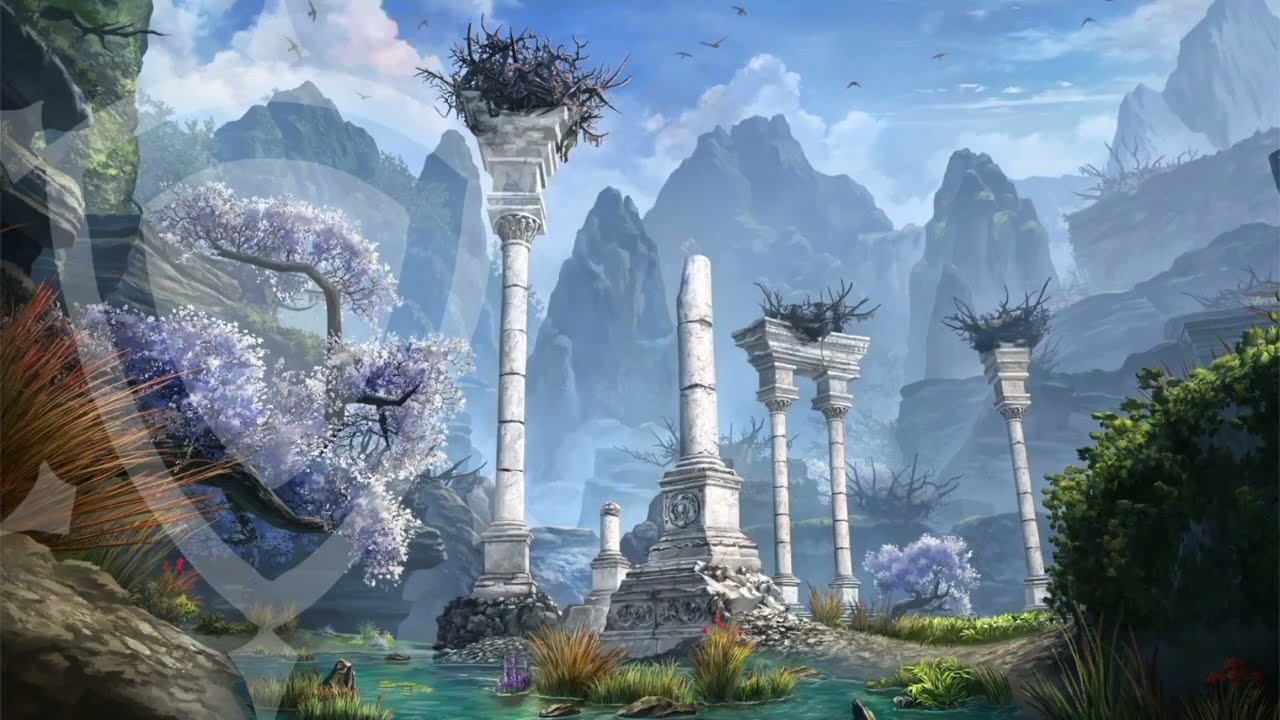 Coral Caretaker