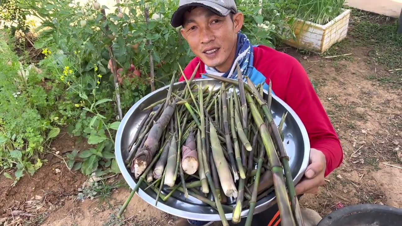 หมานบักคักหาแหนงหน่อไม้มื้อนี้