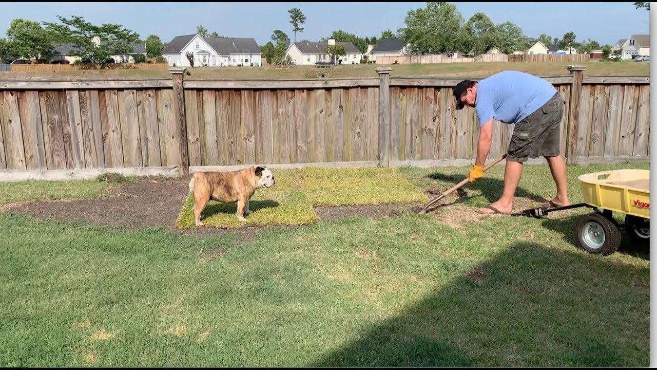 Reuben the Bulldog: Landscape Supervisor