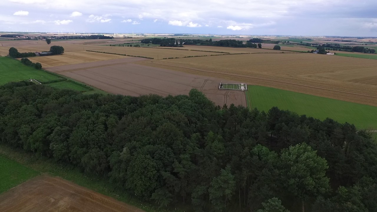 First World War - Serre