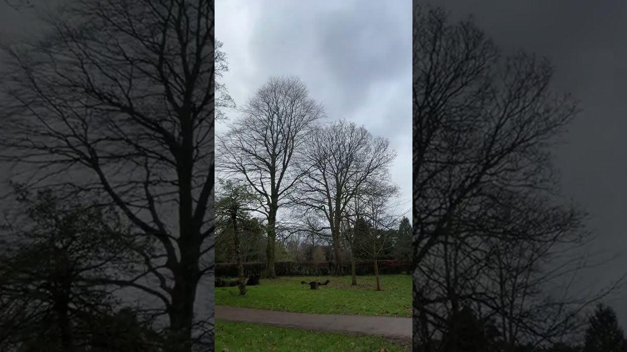 Sophia Gardens, Cardiff | Live
