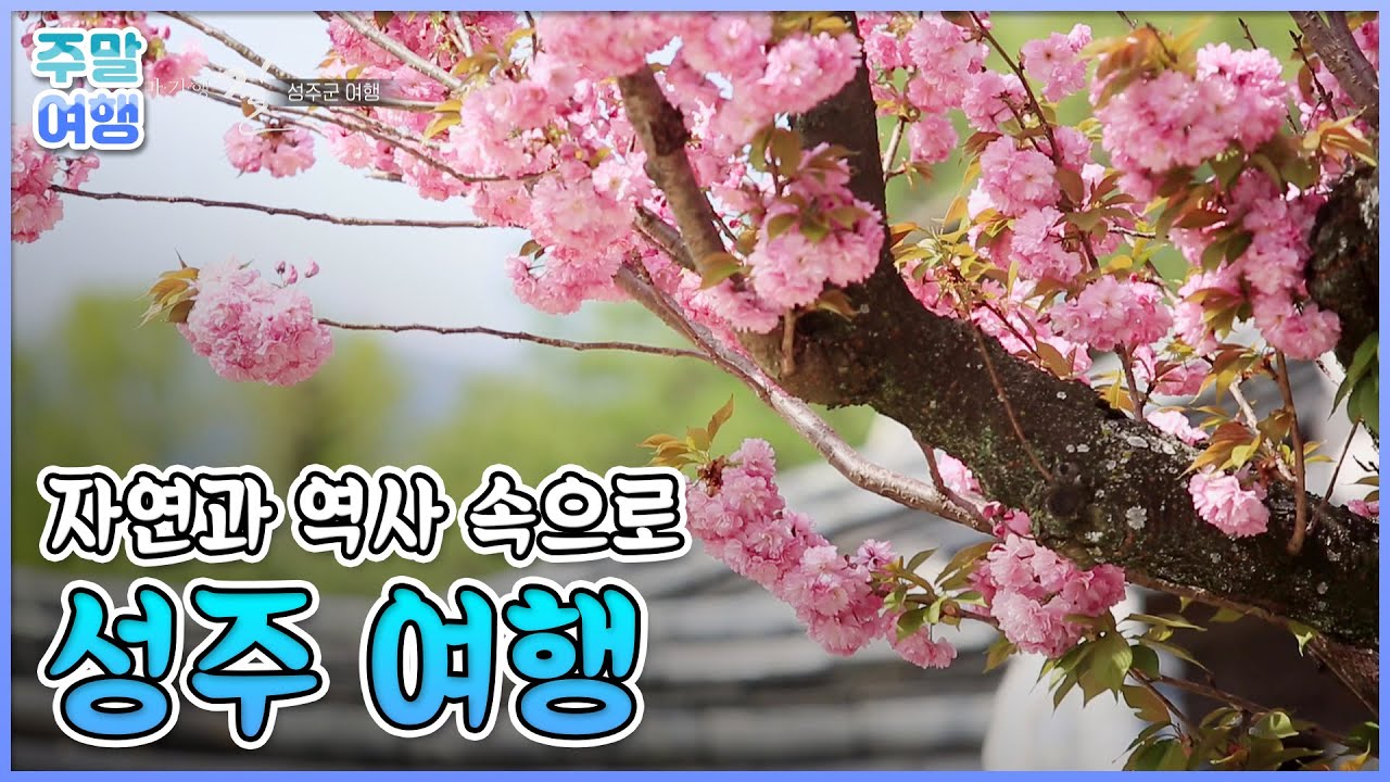 #집에서함께해요 참외말고도 볼 거리 많은 성주 👀영상으로 떠나는 자연 속 성주 여행 [테마기행 길]