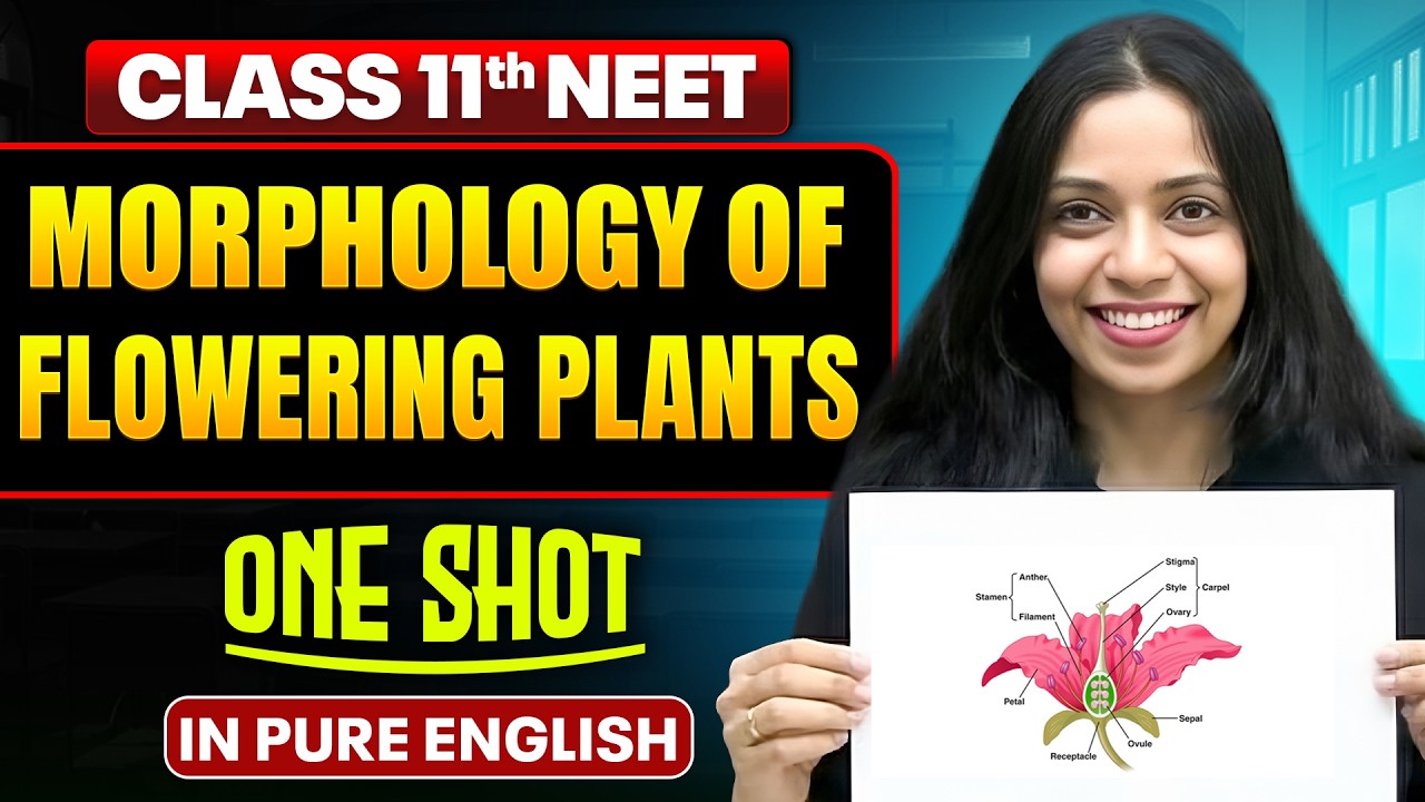 MORPHOLOGY OF FLOWERING PLANTS | Class 11th ONE SHOT | Complete NEET Botany in Pure English
