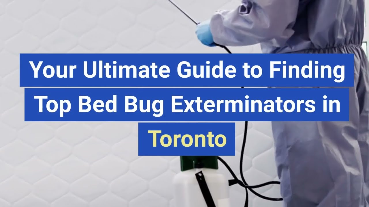 Your Ultimate Guide to Finding Top Bed Bug Exterminators in Toronto