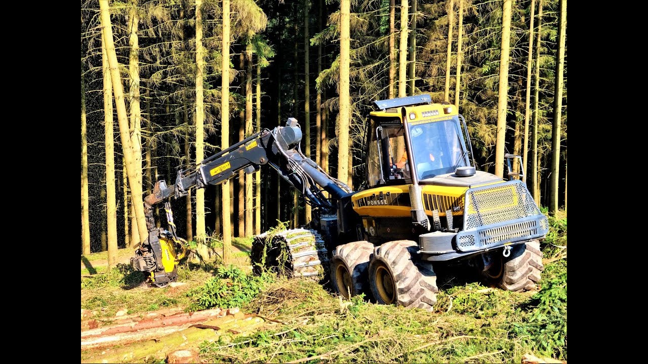 🌲*The old Bear* • Ponsse Bear No.6 • Forstbetrieb Wolf • Harvester in action • sound • Part-2 🌲