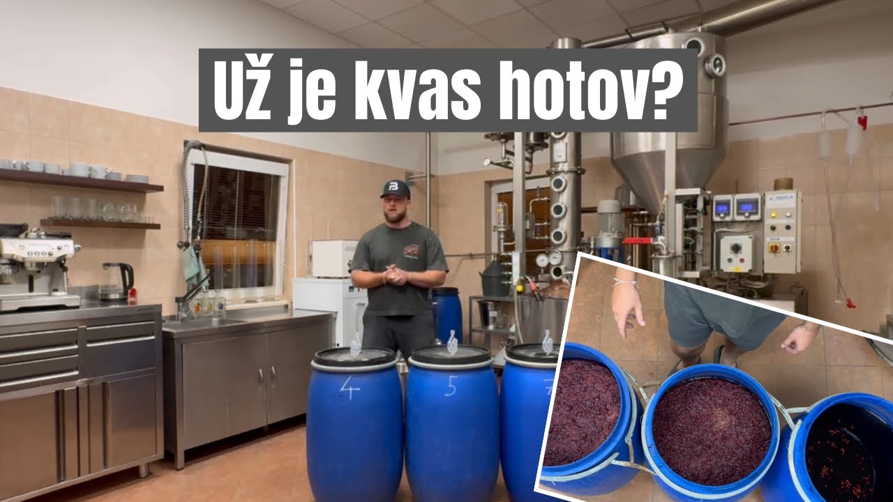 Jak poznat hotový kvas (základní poznávací znaky). Nejčastější chyby kvašení a jak se jim vyvarovat.