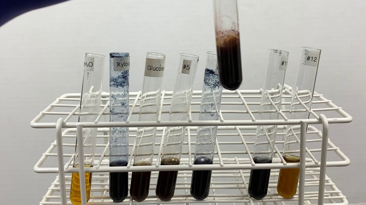 Bial's Test for distinguishing Pentose vs Hexose