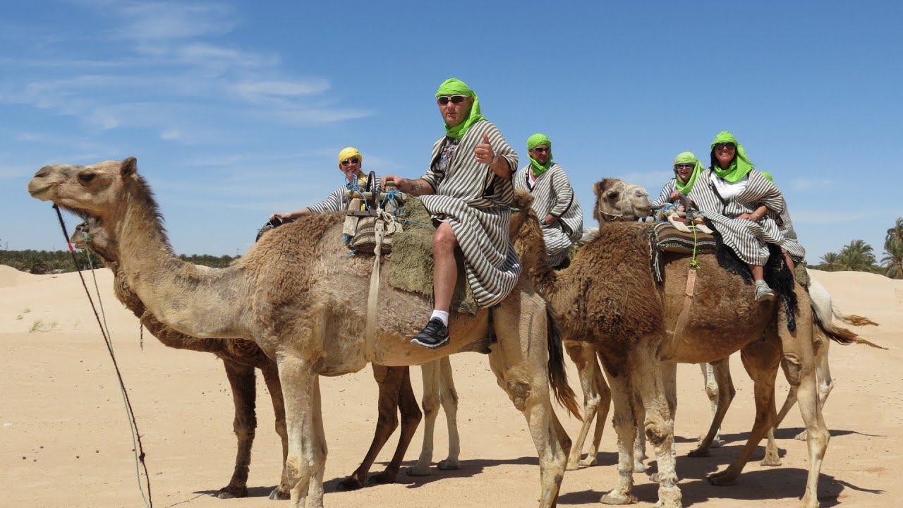 Jazda na wielbłądach - Sahara - Douz - Tunezja