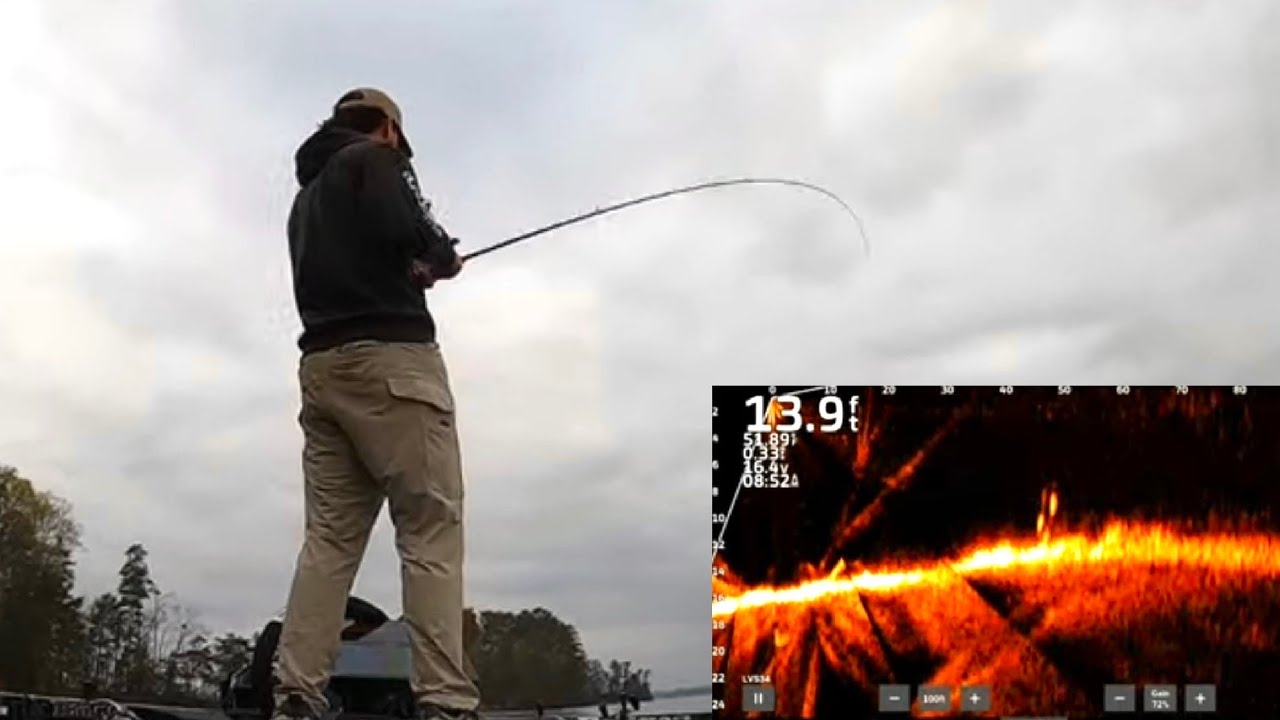 Load the Boat with GIANT Herring Spawn & Shallow Fish this Spring! Lake Lanier