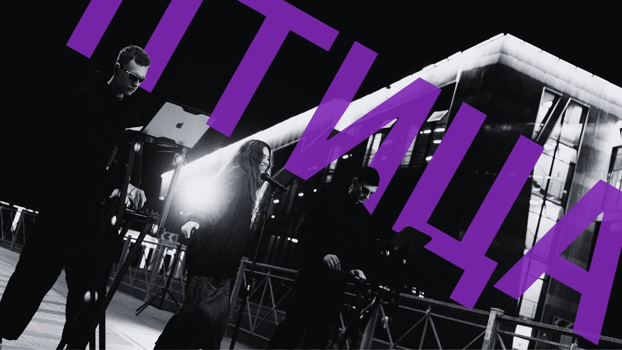 U108 - Птица | Mood video